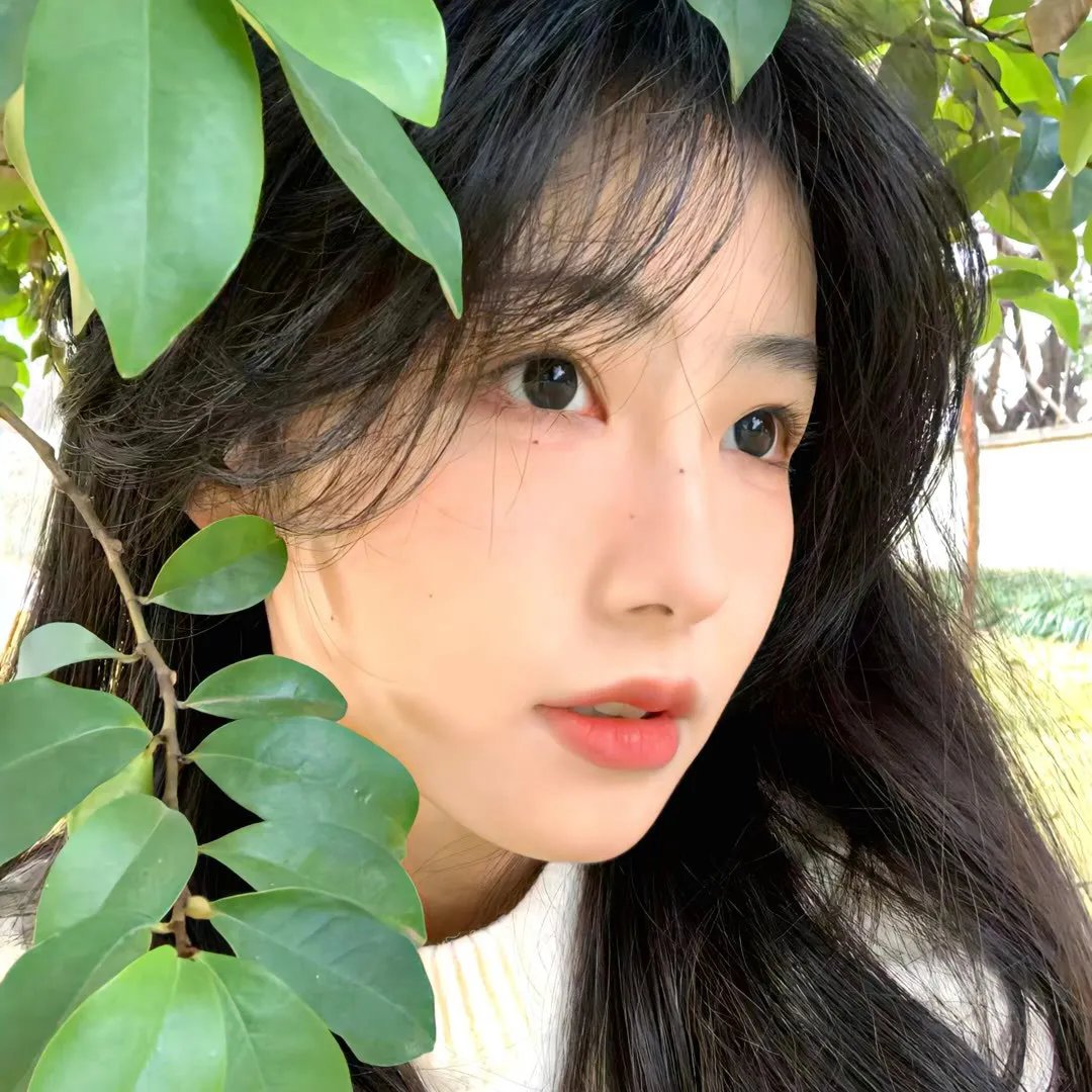 猫妖小杏